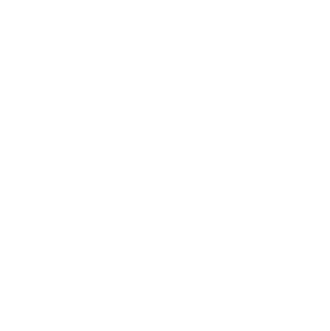 Wild Portals